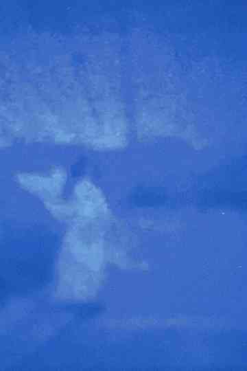 JAPANESE 102 (Journal filmé extrait) Poster