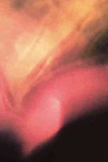 Une étoile de tissu Poster