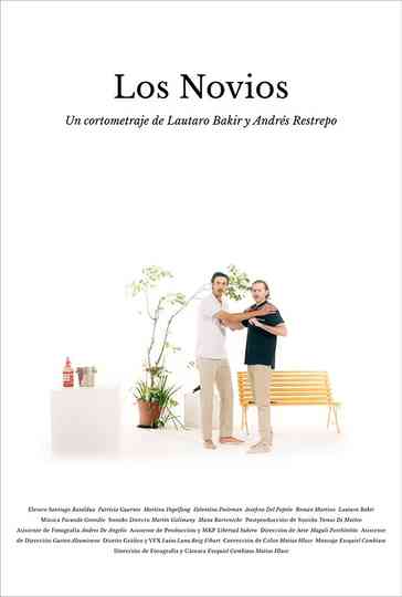 The boyfriends Poster