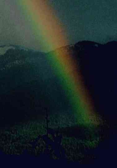 Running Shadow Part II Poster