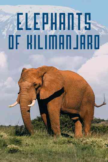 Elephants of Kilimanjaro Poster