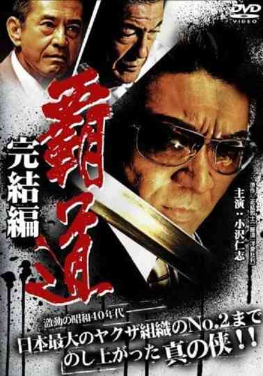 Domination Final Chapter Poster