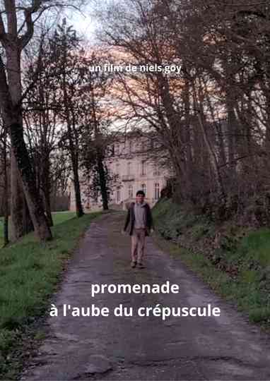 Promenade à l'aube du crépuscule Poster