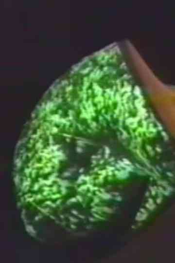 Embodied Images and Virtual Objects Poster