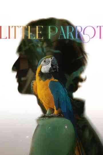 Little Parrot Poster