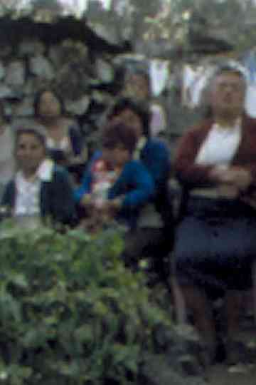 Elvira Luz Cruz, Maximun Sentence Poster