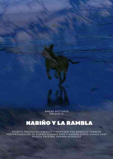 Nariño y la Rambla Poster