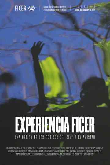 Experiencia FICER Poster