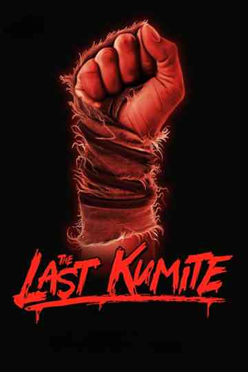 The Last Kumite
