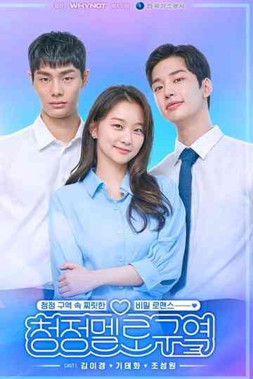 Pure Melo District poster