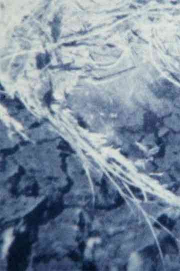 Ecosystem 10 ~ A Dripping Moss Poster