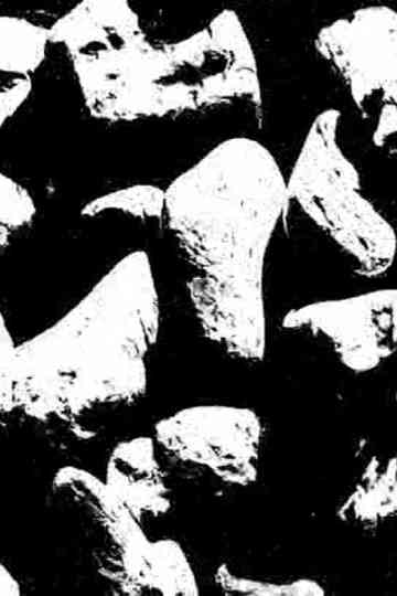 Ecosystem 25 ~ BlacK 2 Poster