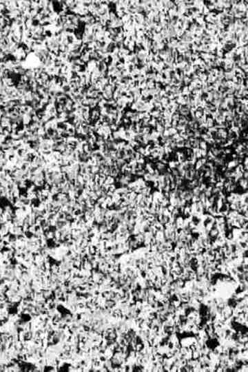 Ecosystem 26 ~ Vibrating Sand Poster