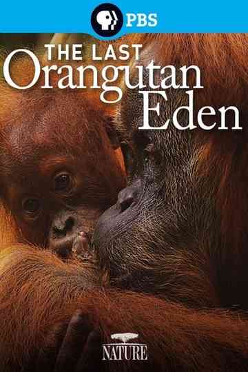 The Last Orangutan Eden Poster