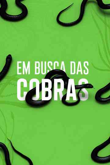 Rato, Vini and Snakes Poster