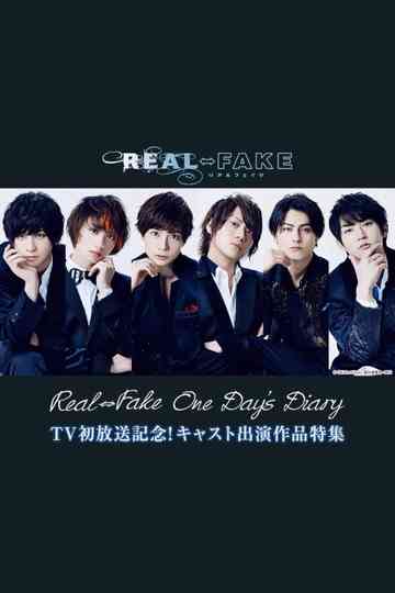 One Day's Diary Poster