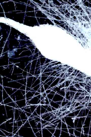 Yaangna Plays Itself Poster