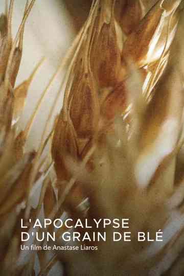 L'apocalypse d'un grain de blé poster