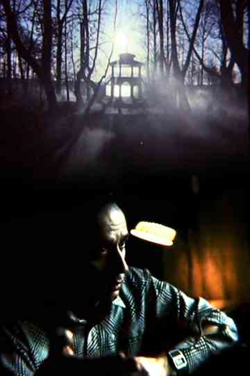 Hryhoriy Havrylenko. The Bright Figure Poster