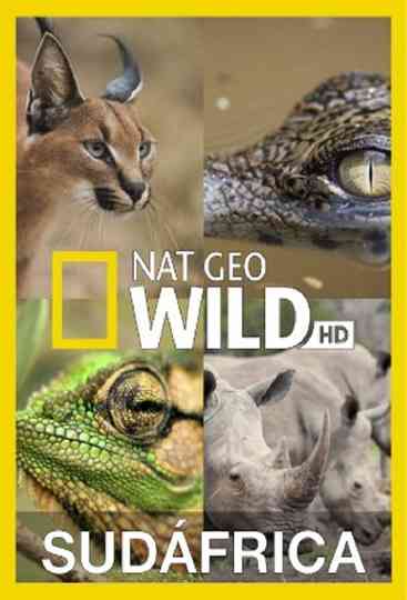 Wild South Africa Poster