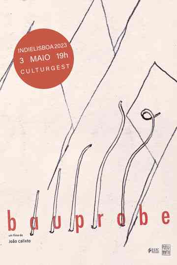 BAUPROBE Poster