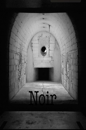 Noir Poster