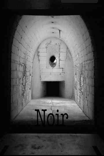 Noir Poster