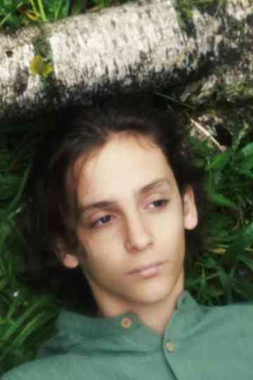 A Dream Within a Dream Poster