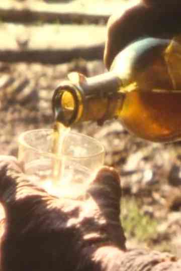 Before gulping Poster