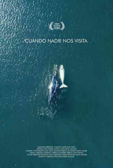 Cuando nadie nos visita Poster