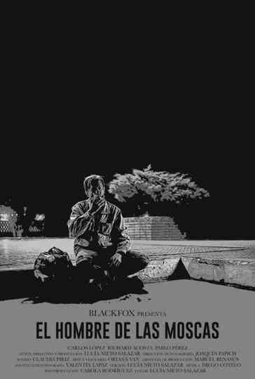 El hombre de las moscas Poster