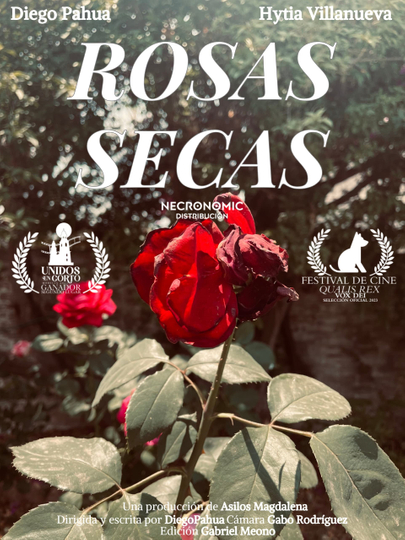 Dried Roses Poster