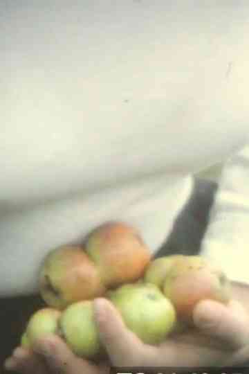 Dry Guerlédan Poster