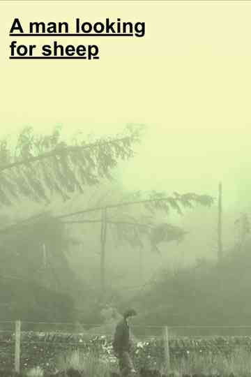 A man looking for sheep Poster