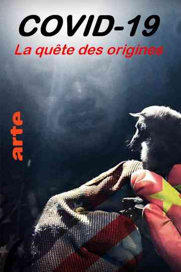 Covid-19, la quête des origines Poster