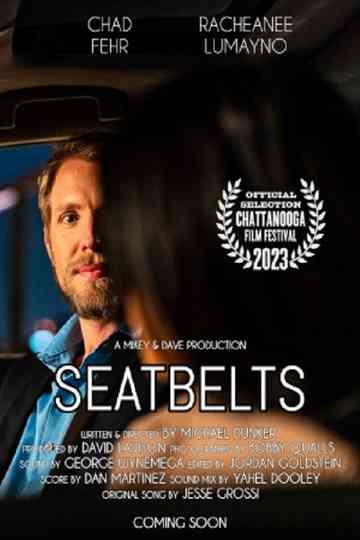 Seatbelts Poster
