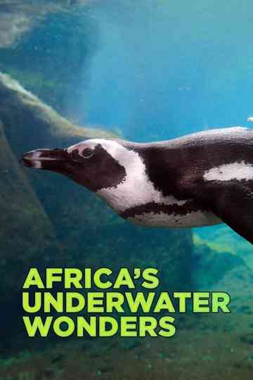 Africa's Underwater Wonders Poster
