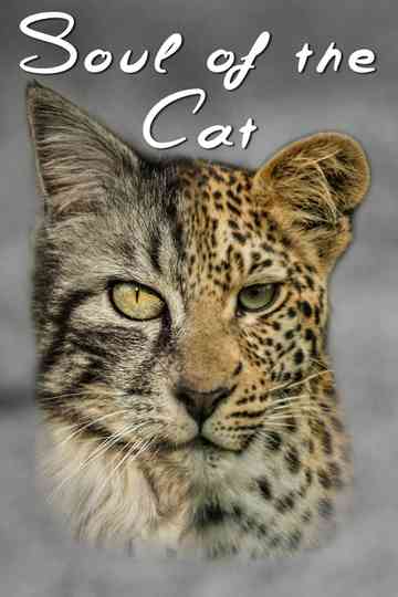 Soul of The Cat Poster