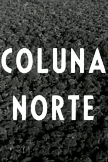 Coluna Norte