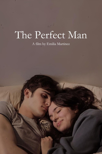 The Perfect Man Poster