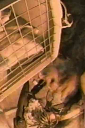 Mr. Withers' Apartment Poster