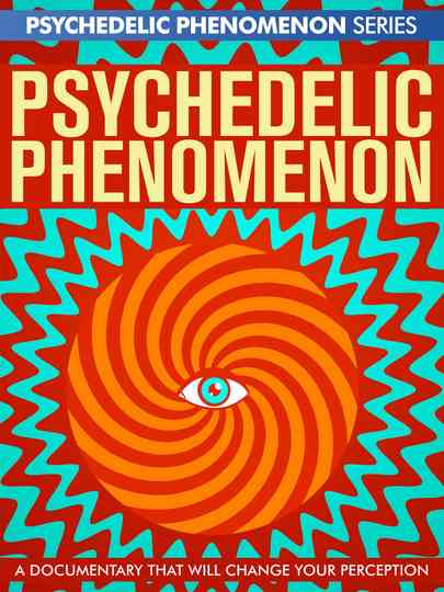 Psychedelic Experiences Poster