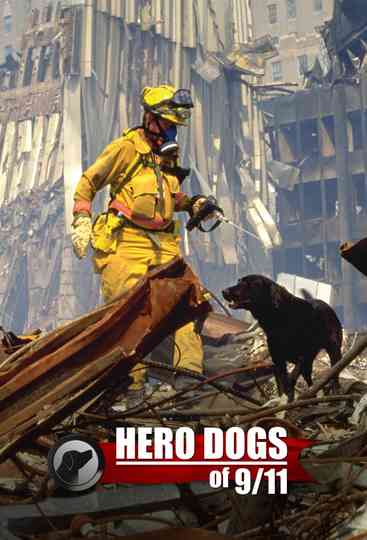 Hero Dogs Of 9/11 Poster
