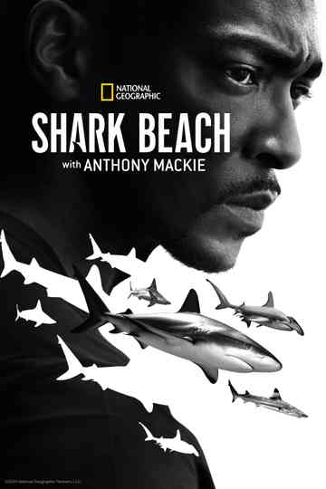 Shark Beach with Anthony Mackie Poster
