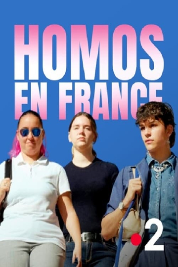 Homos in France Poster