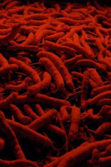 This Haunting Memory That Is Not My Own Poster