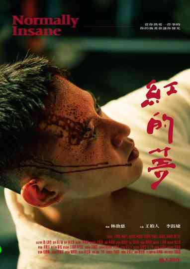 Normally Insane Poster