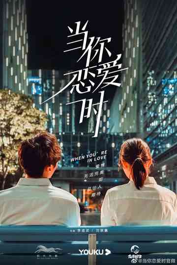 When You're In Love Poster