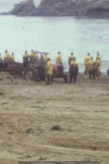 Collection série noire : Tome 4 Poster