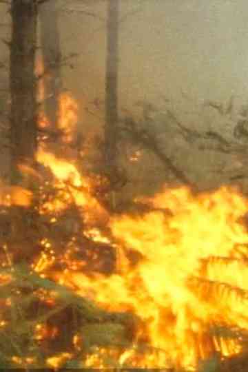 The disfigured forest Poster